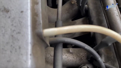 Fucked my neighbors car, but she wished my hefty weenie - the hottest XXX porn!