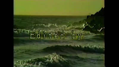 Hawaii Vice 4 (USA 1989, Kascha, Megan Leigh) (480)