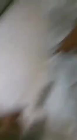 Watch Mamou e engoliu o leitinho Short Sex Videos - Duration: 01:07 | ePornNEW.