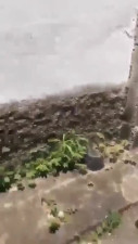 apanhou da esposa