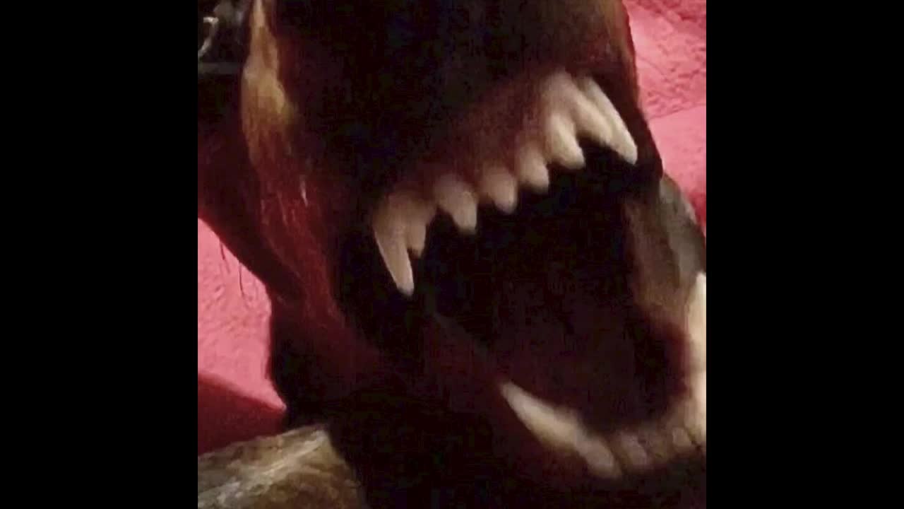 Watch ...... Short Sex Videos - Duration: 02:11 | ePornNEW.