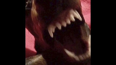 ......
