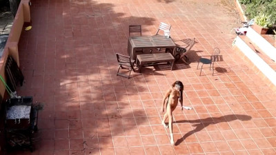 Public Courtyard Blowjob and Fucking with a Hot Brunette Amateur Couple