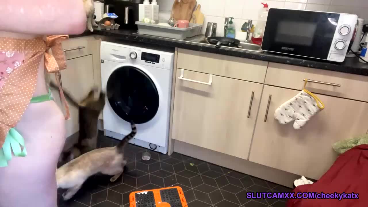 Watch I am a cute baker only wearing apron Short Sex Videos - Duration: 14:59 | ePornNEW.