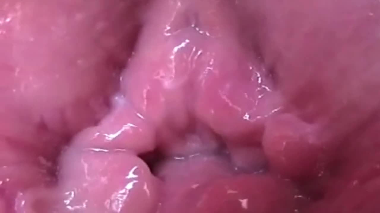 Watch video detailed instructions for complete sexual activity in maximum detail with a des Short Sex Videos - Duration: 27:39 | ePornNEW.