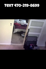 Aaliyah White 1414 S Broadway St, Apt 3416, Carrollton, TX Text 470-219-8699