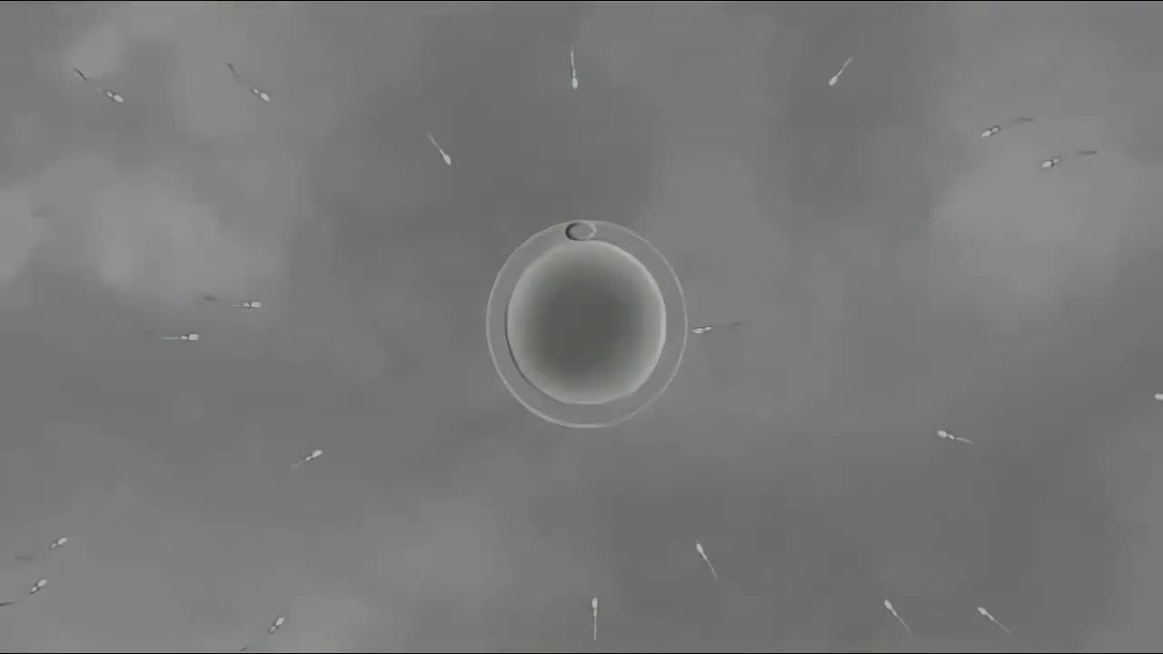 Watch nunime_com_20251008_165256 Short Sex Videos - Duration: 00:49 | ePornNEW.