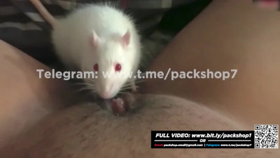 Cruel women devour live fish and rodents - vore