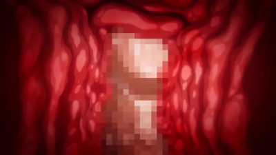 nunime_com_20251104_205147