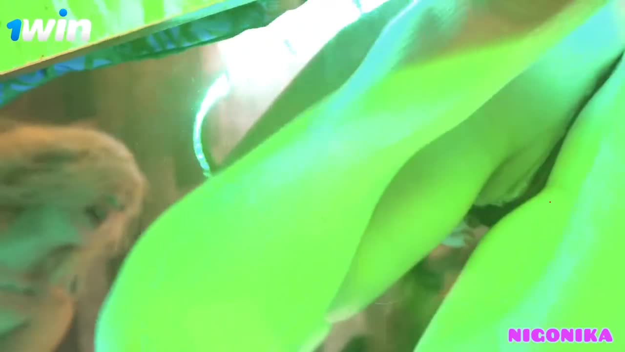 Watch Merry Xmas! Naked sisters gobble raw crevices in lazy orgy. Top porn 1Win! Short Sex Videos - Duration: 08:09 | ePornNEW.